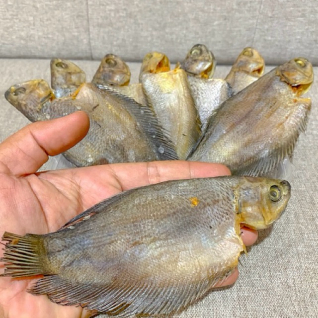 

Ikan Asin Sepat Besar 250gr (Gratis box penyimpan ikan)