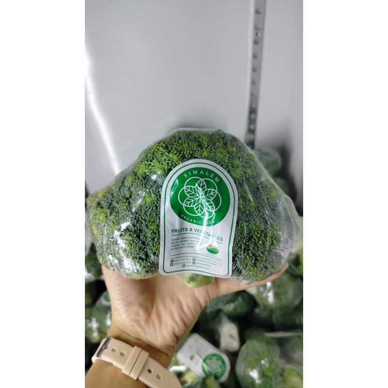 

BROKOLI SEGAR 100% ORGANIK