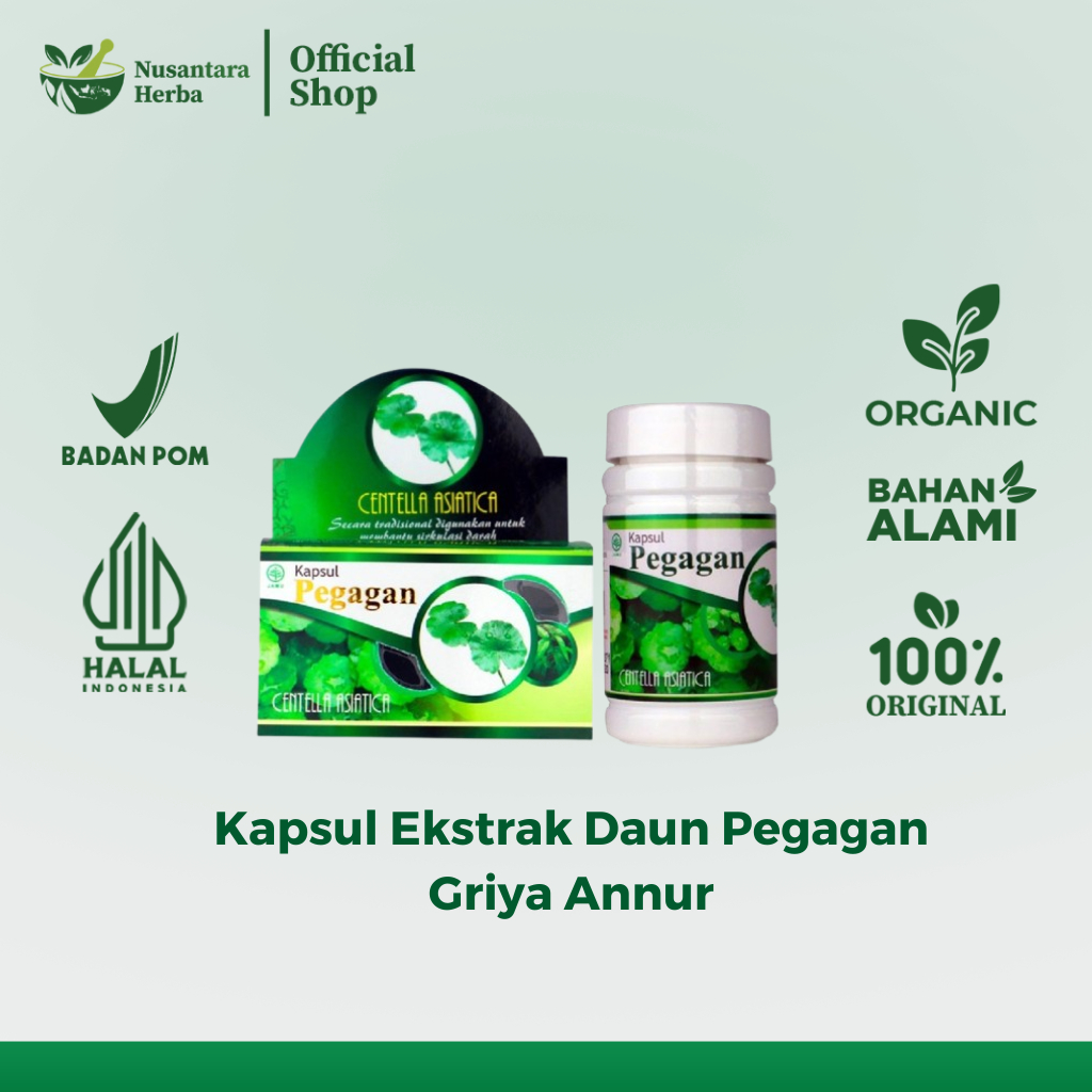 Kapsul Ekstrak Daun Pegagan Griya Annur