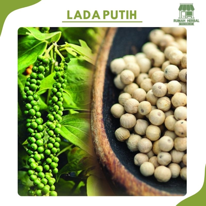 

Biji Lada Putih Utuh 250 Gram / White Pepper Kualitas Super