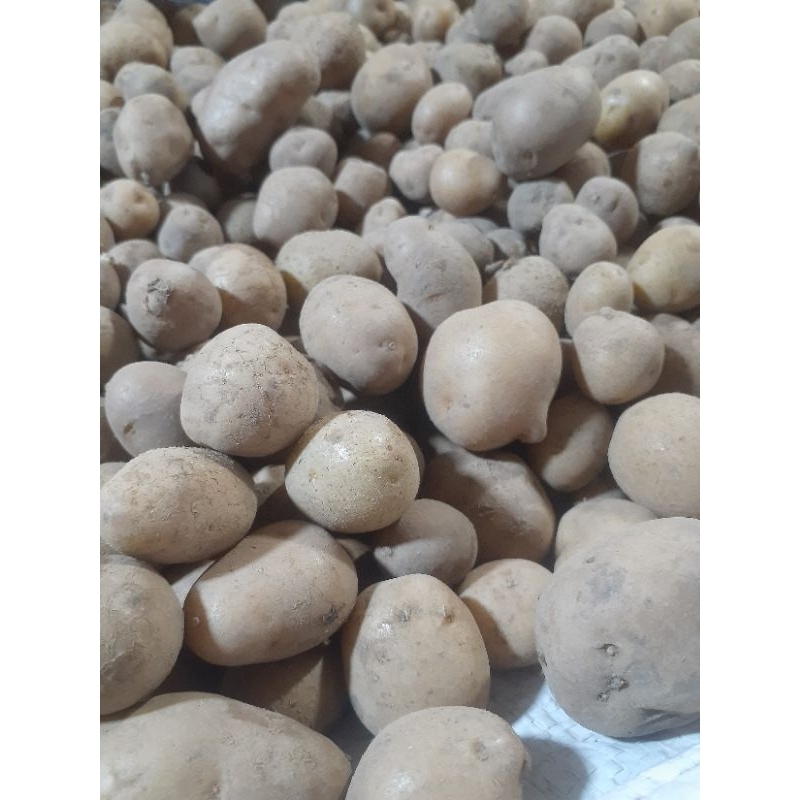 

baby potato 500 gram
