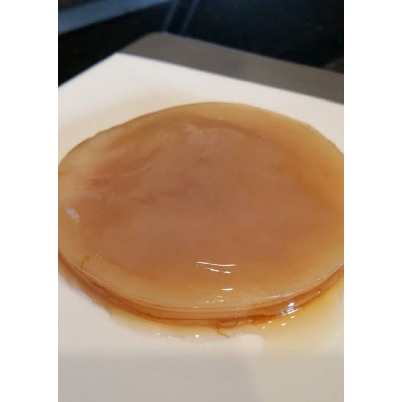 

Bibit Scoby Jamur Kombucha Ukuran Besar Premium Organik