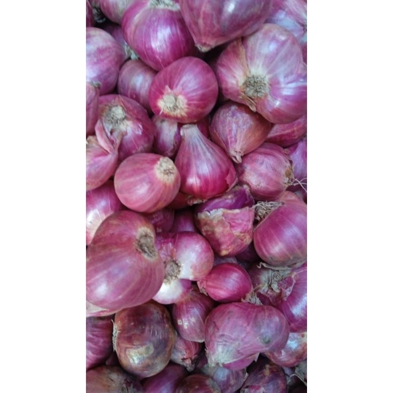 

Bawang merah lokal berkualitas 1kg