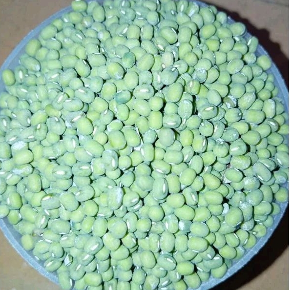 

Kacang Ijo 1 Kg Asli Lokal