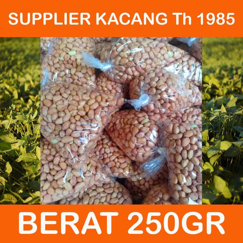 

KACANG TANAH / OCE / SAMBAL