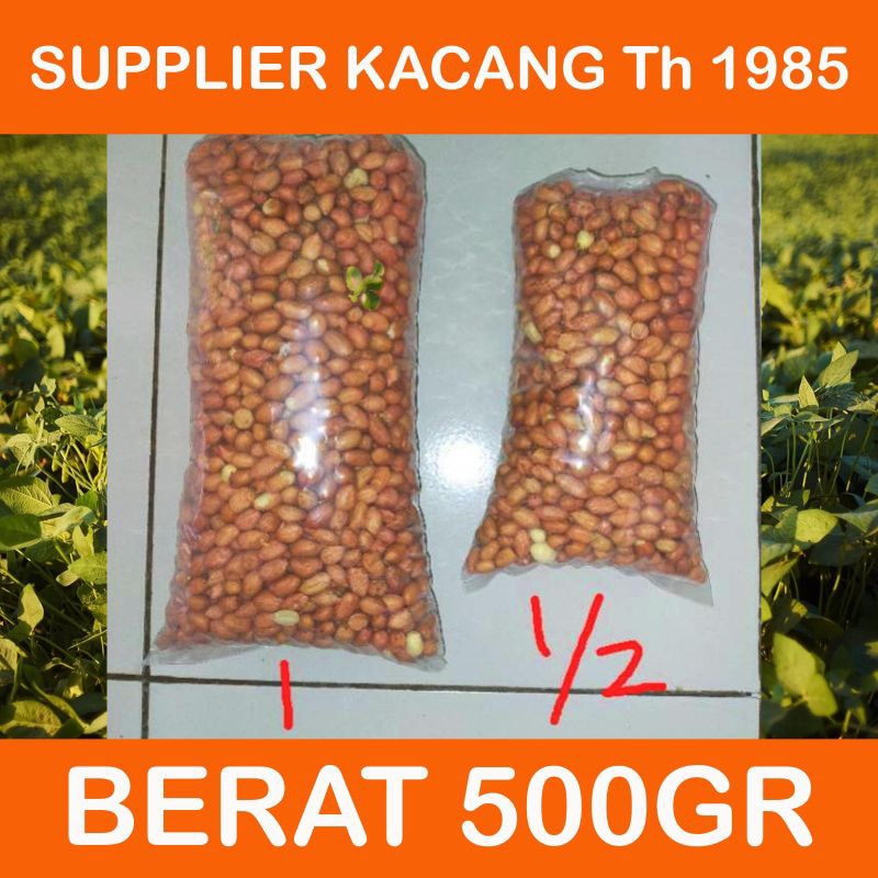 

KACANG TANAH / KUPAS / OSE / SAMBAL