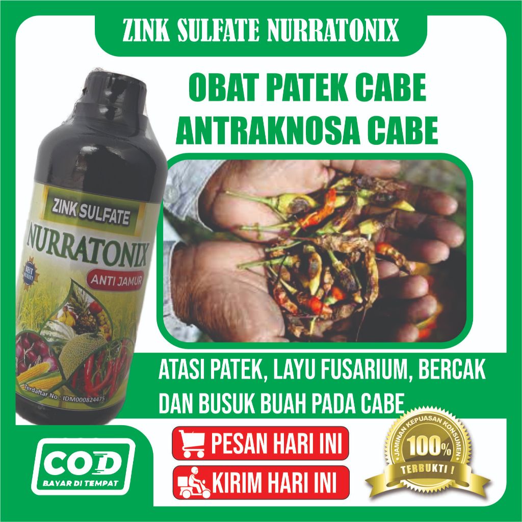 PROMO Obat Hama Patek/antraknosa, Bercak dan busuk daun, Busuk buah, Busuk Akar Batang dan Daun Pada