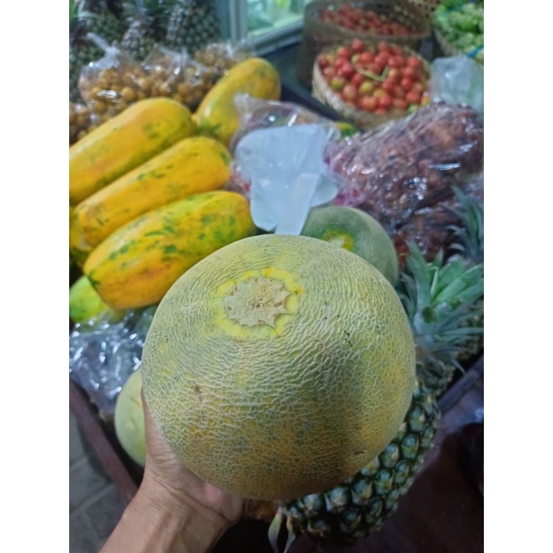 

Buah Melon