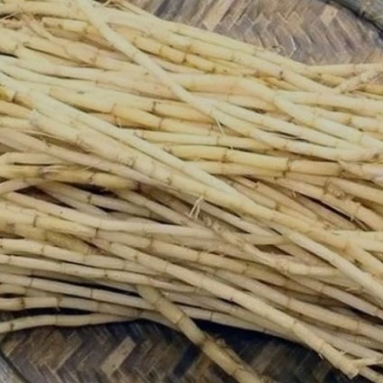 Obat Kencing Batu/ Pendorong Kencing Batu/MJS Nature CINGBATU