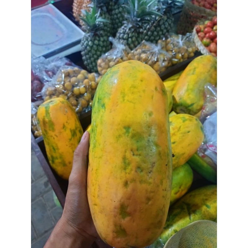

Buah Pepaya