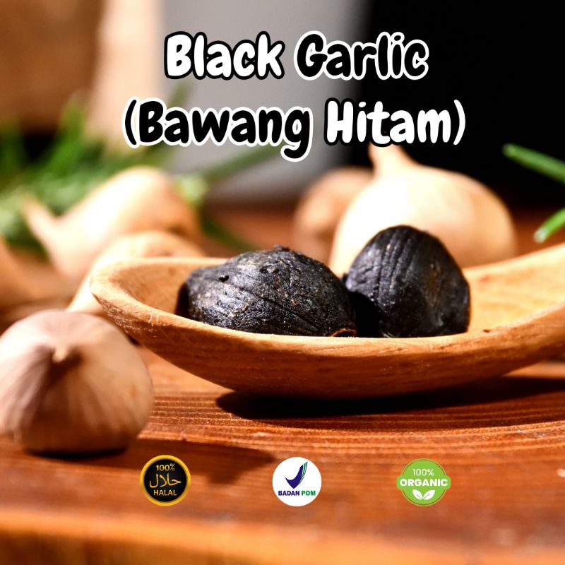 

Bawang Hitam | Black Garlic | Bawang Lanang | Bawang Hitam Tunggal | Bawang Fermentasi | Bawang Organik