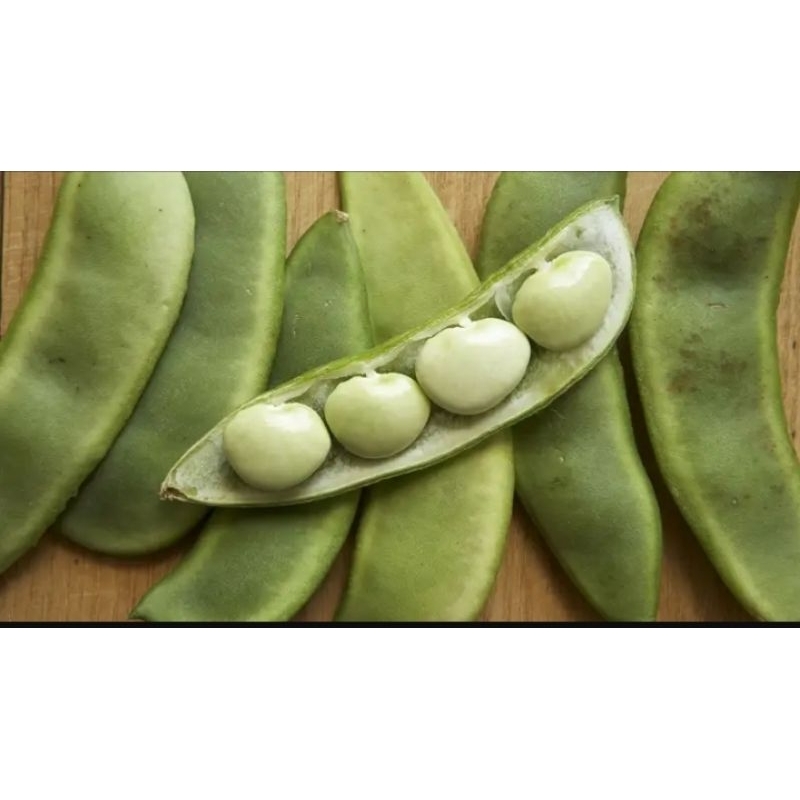 

Kacang Koro Kulit Berastagi Fresh 500gr