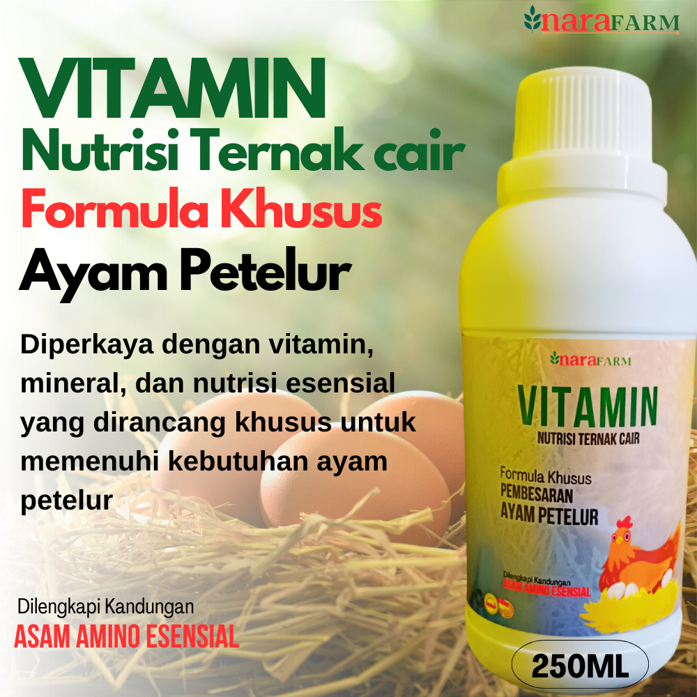 Vitamin ayam cepat bertelur,mineral ayam petelur,Vitamin  meningkatkan produktivitas Telur Ayam.