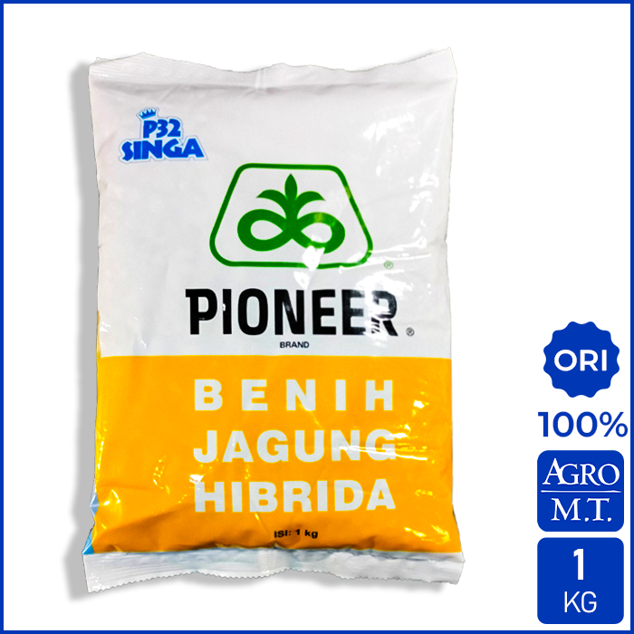 Benih Jagung Hibrida P32 Singa (1KG) - PIONEER