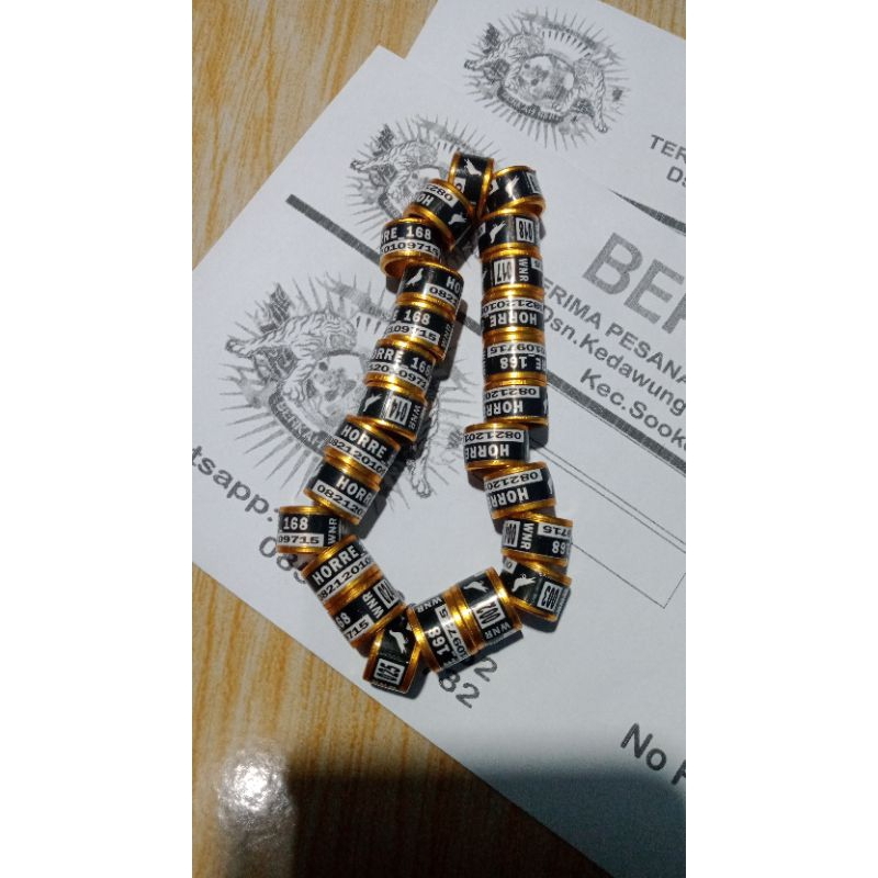 ring burung merpati dewasa