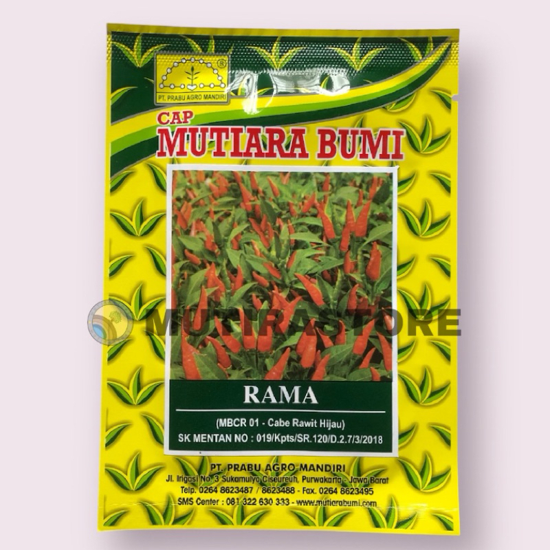 benih cabe rawit hijau RAMA isi 10 gram cap mutiara bumi