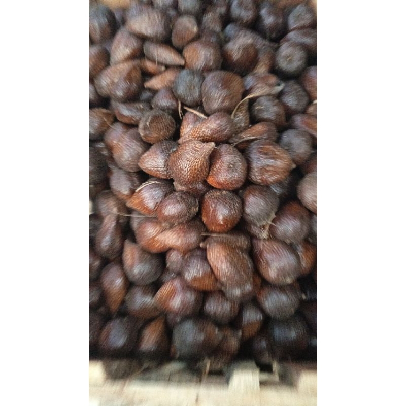 

buah salak pondoh 1kg besar besar