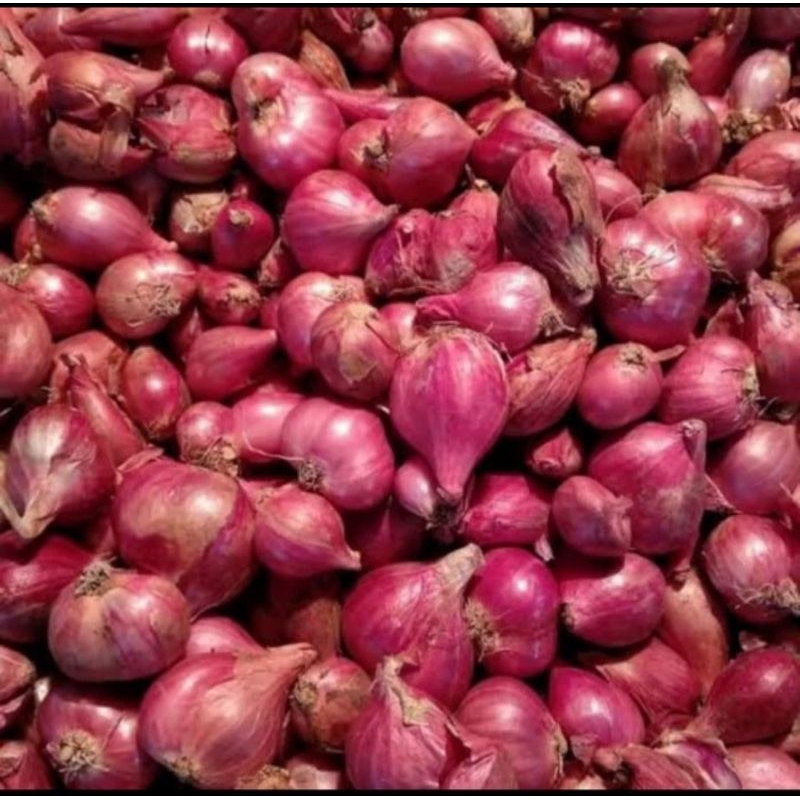 

bawang merah Brebes gede 1kg