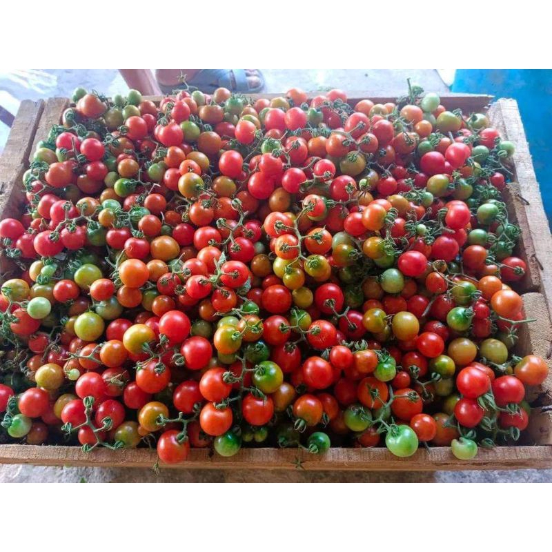 

rampai Lampung asli 1kg
