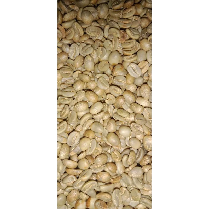 

green Bean Arabika Natural proses