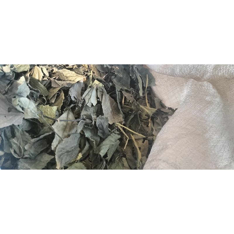 

jual teh daun keji beling kering 100 gram