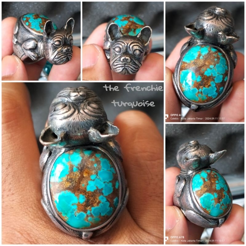 Pirus Persia ceplok pirus Persia HQ pirus Persia kontes pirus Persia Abdul Rozak pirus Persia kenaro