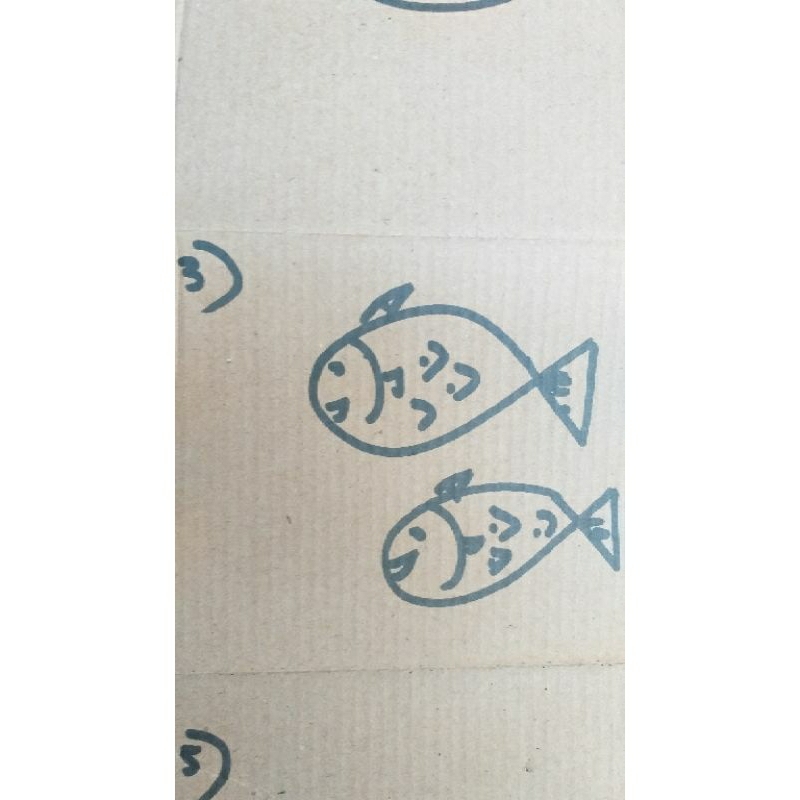 

kardus bekas gambar ikan