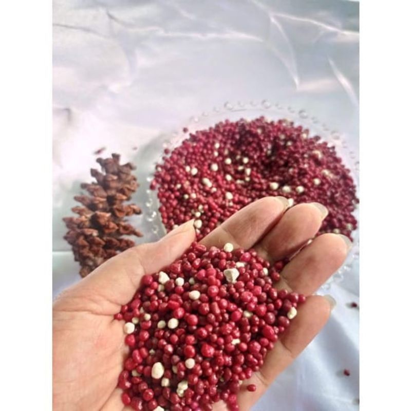 Pupuk Aglonema Anggrek 500 Gram / Pupuk Merah Pupuk Merah Slow Release