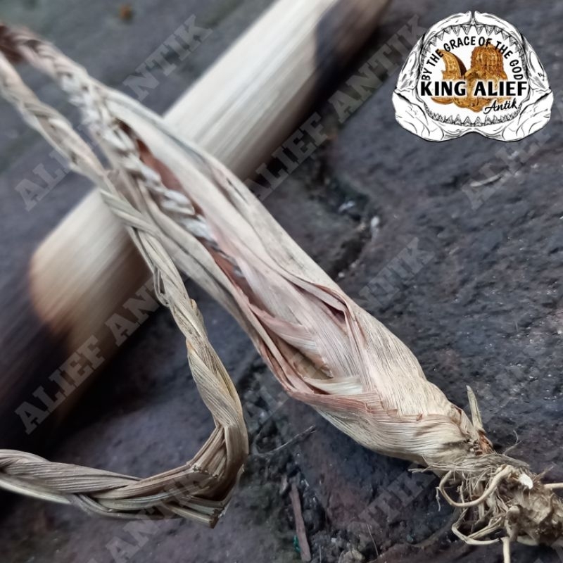 Bunga Sereh Kembang Serai Hutan Tunggal Lanang Alami Natural Tanah Jawa