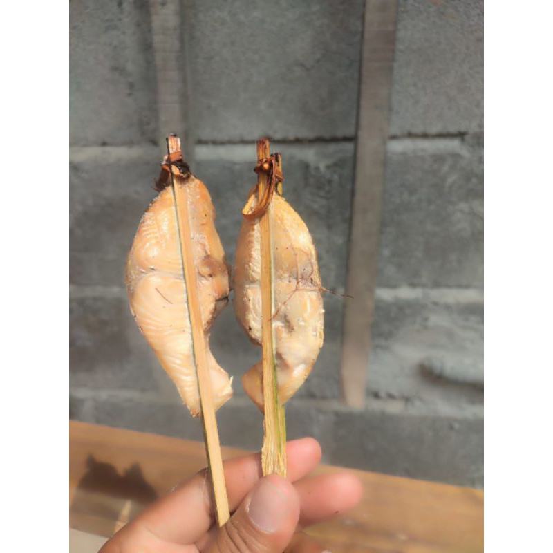 

IkanAsapIrisanDagingIkan