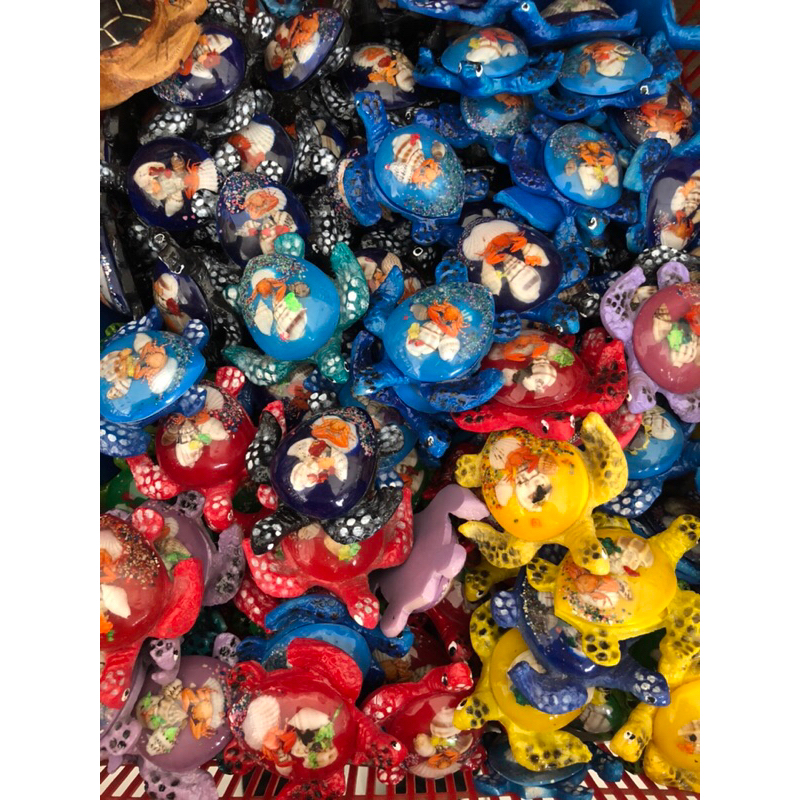souvenir/kura kura kerang kecil/hiasan rumah/hiasan meja