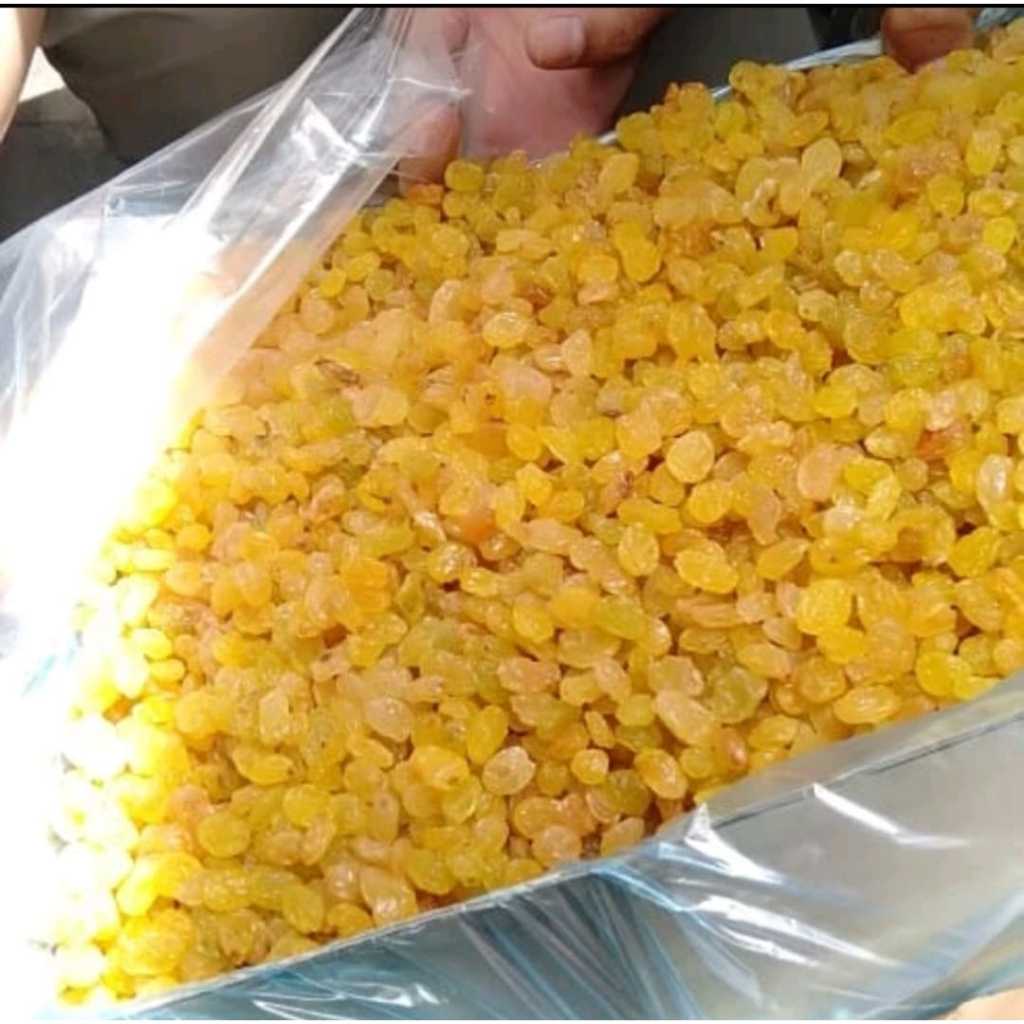 

RB Kismis Manis Mutiara Premium Golden Raisin kemasan Repack