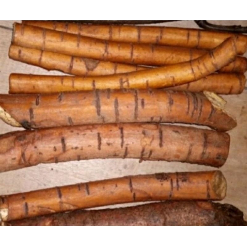 

akar tuba atau kawao segar paket bersih 1 kg