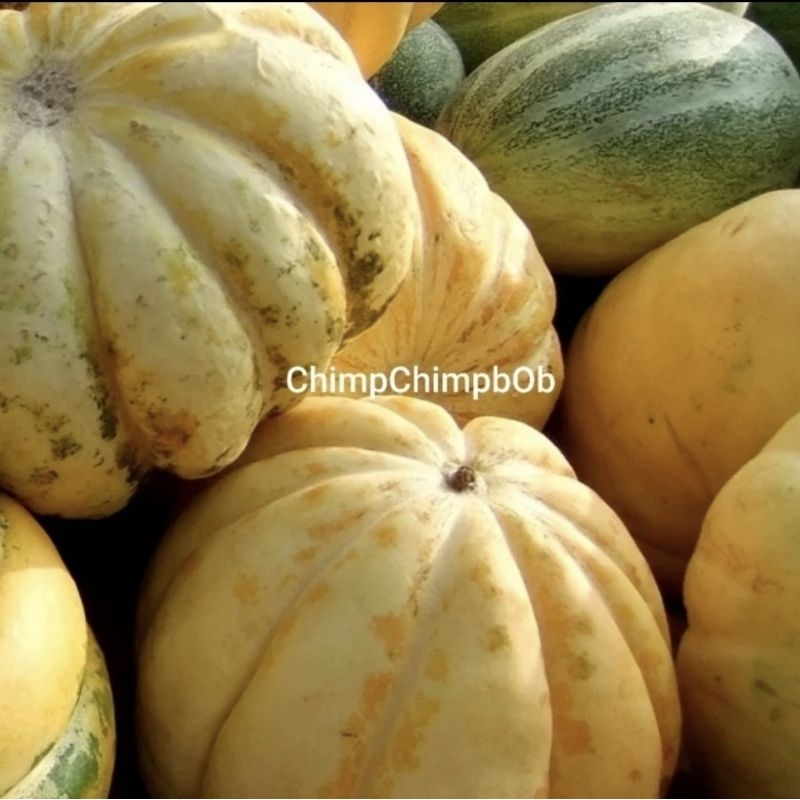 

BUAH BLEWAH SEGAR UTUH 1 BUAH