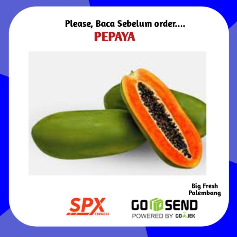 

Pepaya Kates California Per 1 Buah - Sayur Sayuran Segar Online Palembang