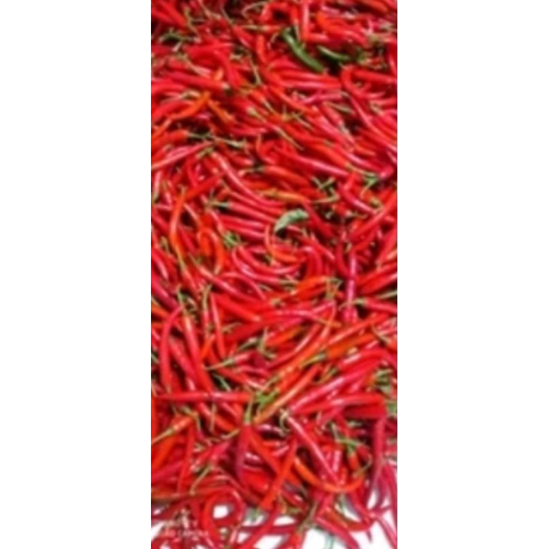 

CABE MERAH SUPER 1KG