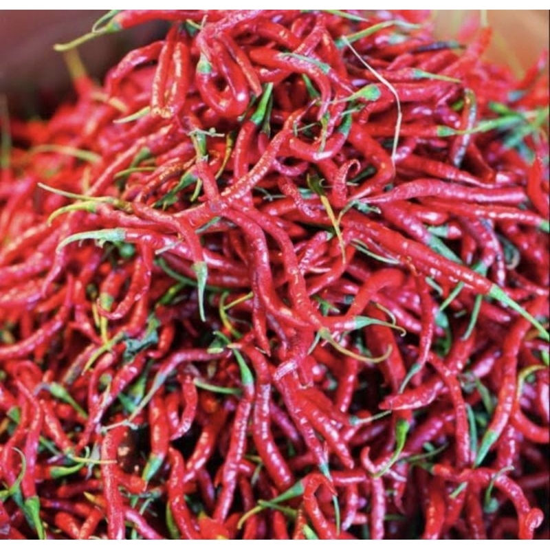 

cabai merah/cabe kriting merah