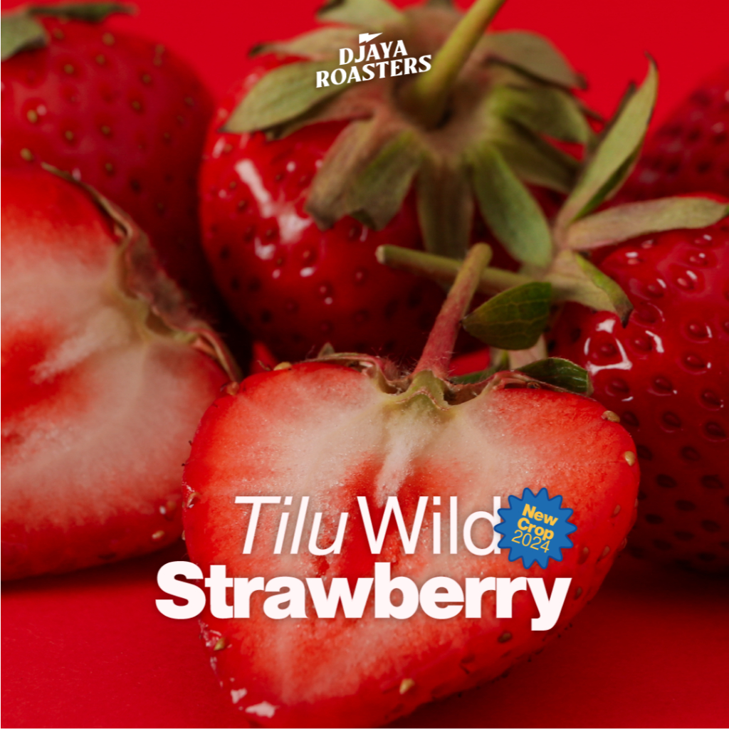 

Tilu Wild Strawberry - Natural Single Origin Filter Coffee