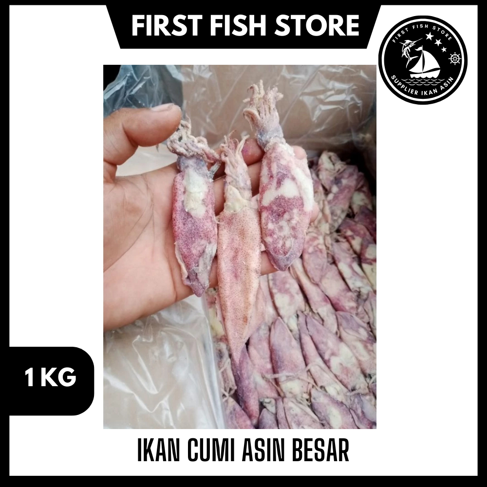 

Ikan Cumi Asin Besar 1 Kg Paling Laris