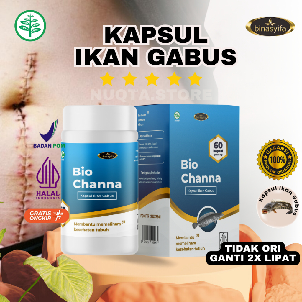 Kapsul Ikan Gabus Pasca Operasi Ekstrak Albumin Pil Kutuk Bio Channa By Binasyifa Original BPOM