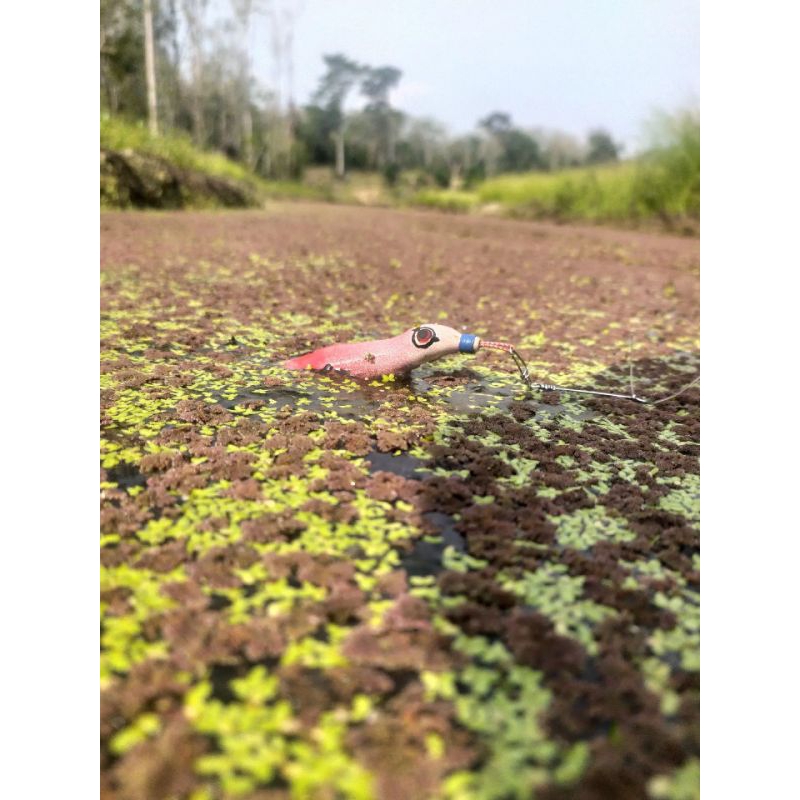 Soft Frog Berdiri 7.5 cm 11 gr || umpan casting gabus toman || soft Frog geol || soft Frog big game