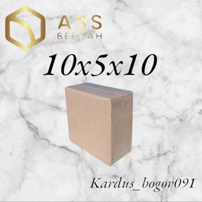 

kardus box packing 10×5×10