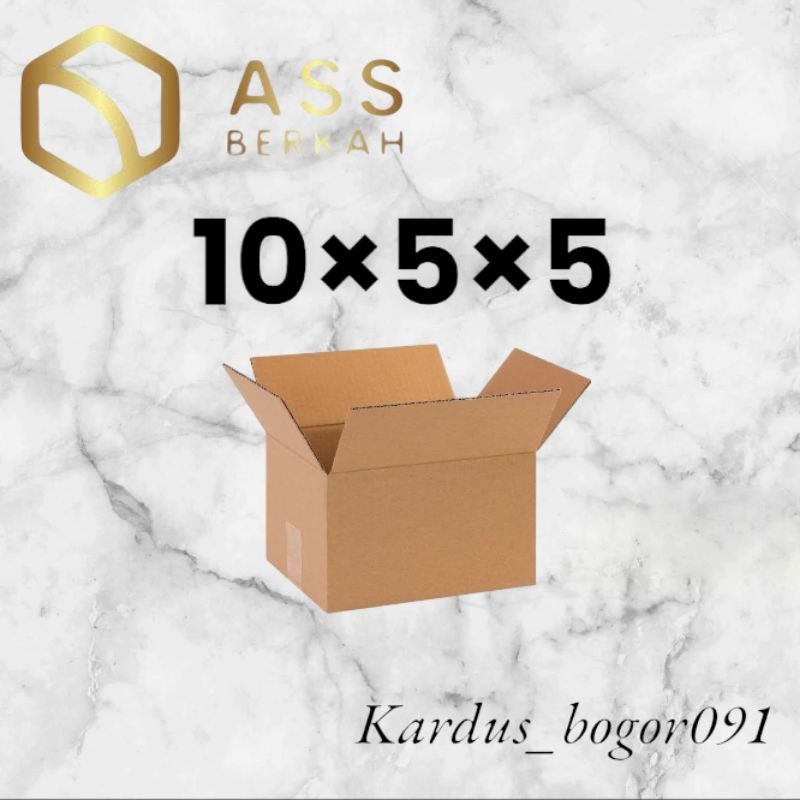 

kardus box packing 10×5×5