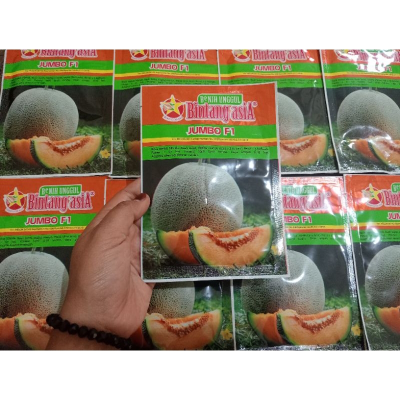 BENIH MELON JUMBO F1