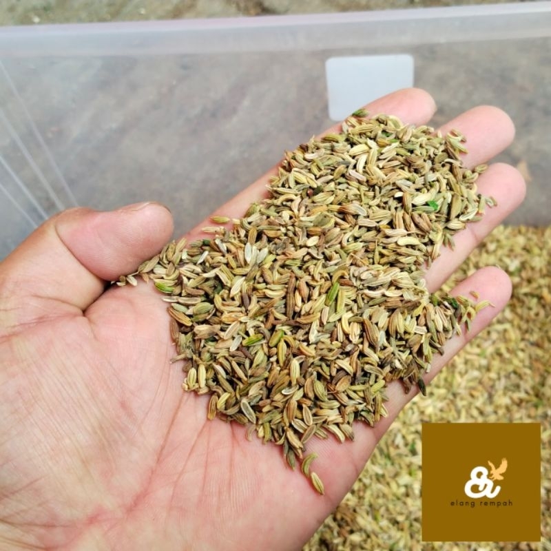 

ADAS MANIS KERING 100 GRAM ADAS MANIS INDIA