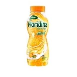 

Minuman Floridina Orange Botol