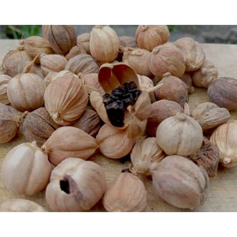 

kapulaga kering kemasan 1 kg dan 500 gram