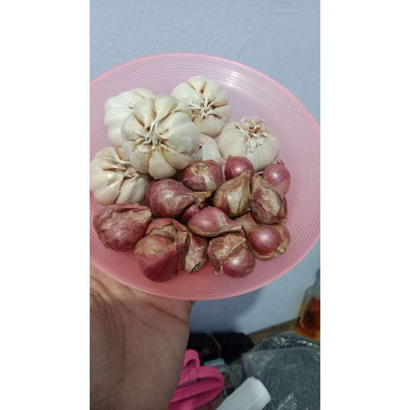 

CAMPUR (500GR BAPUT 500 GR BAMER)