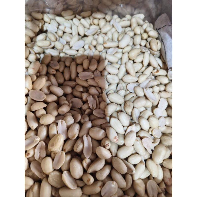 

Kacang premium (mentah)