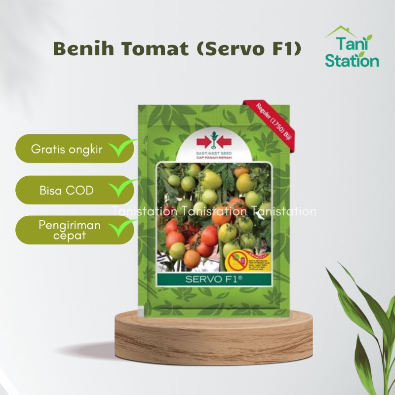 Benih Tomat Servo